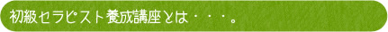 初級セラピスト養成講座とは・・・。